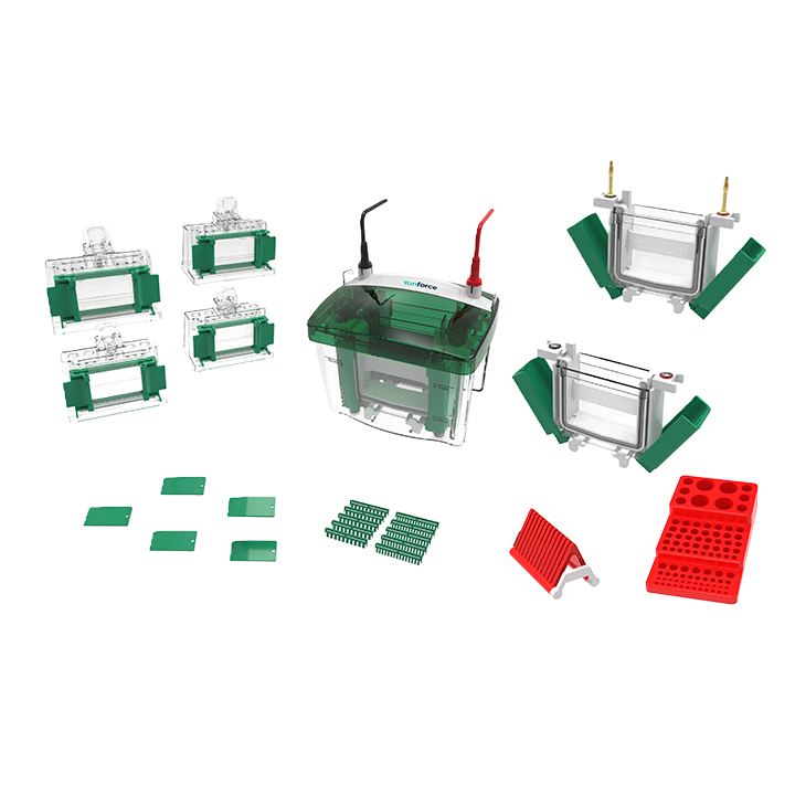 YF-miniPRO4 迷你垂直电泳槽